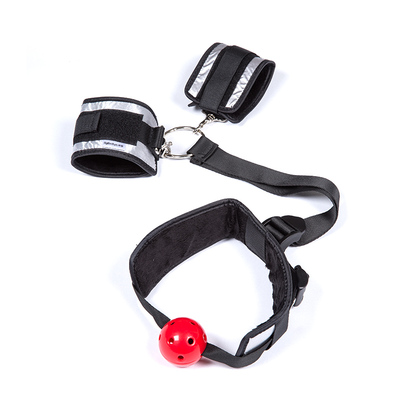 Roomfun 捆绑sm套装调教女奴口球项圈连后背手铐束缚调情工具